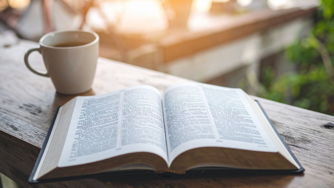Daily Bible devotional - believer and follower of Jesus Christ
