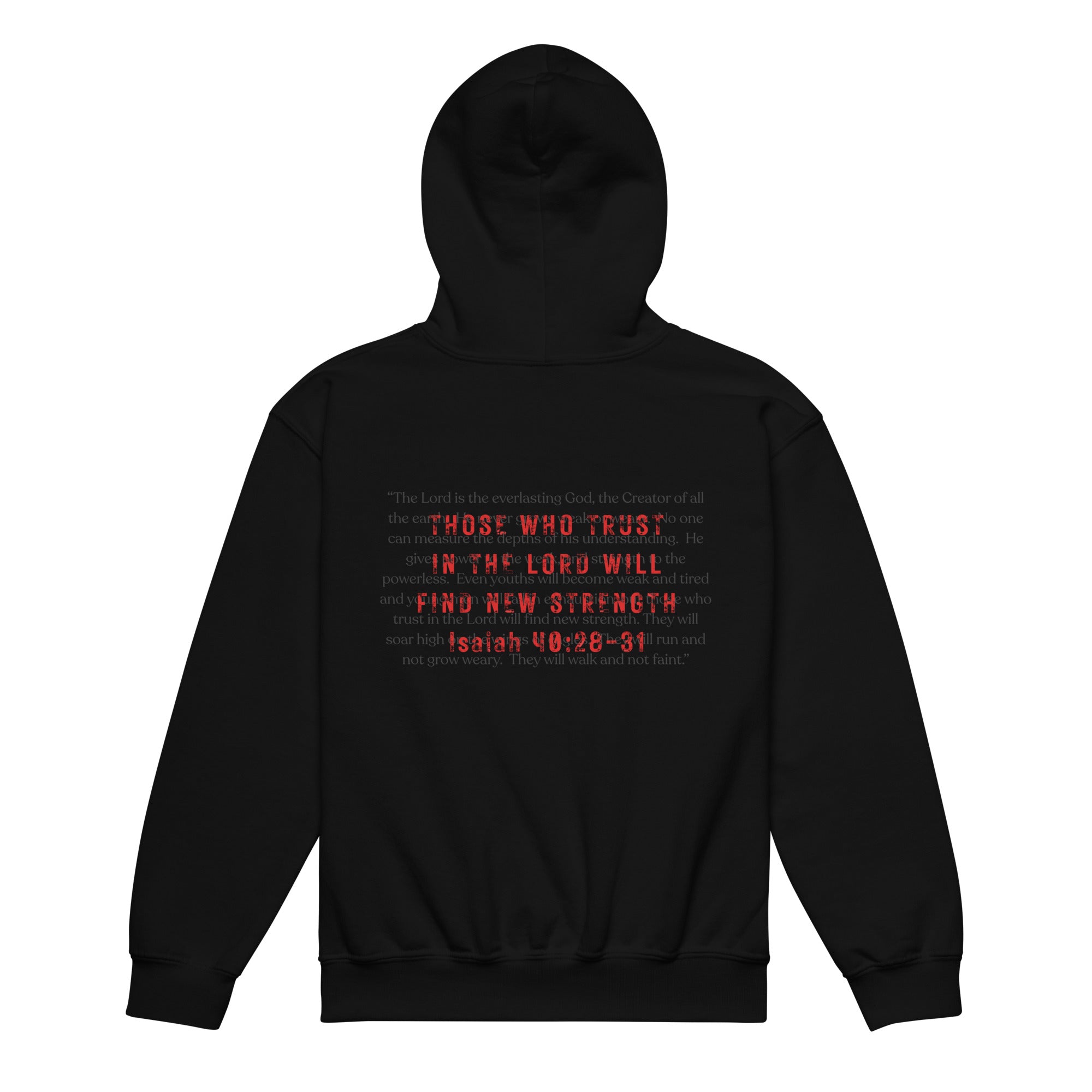 Product mockupYouth Isaiah 40:28-31 Christian hoodie in black - back view